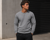 Lacoste embroidered crocodile patch logo sweatshirt grey