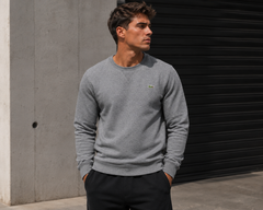 Lacoste crocodile patch sweatshirt grey