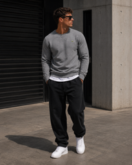 Lacoste crocodile patch sweatshirt grey