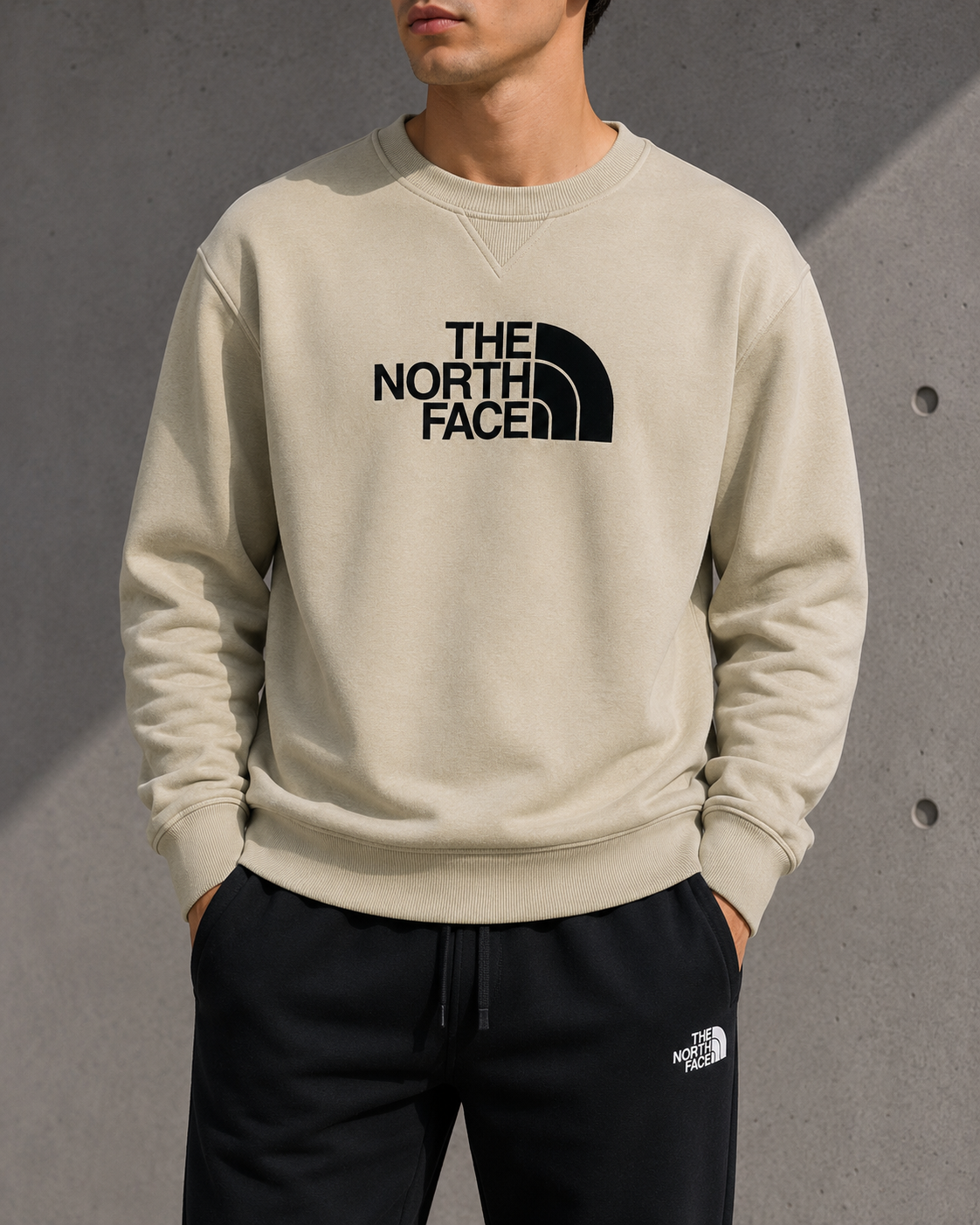 The North Face embroidered chest & back patch-logo sweatshirt beigie